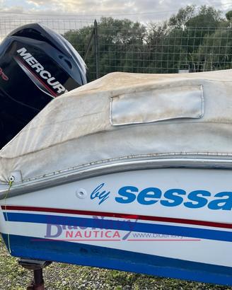 Sessa Marine Con Mercury 40cv Pro (motore Del