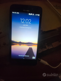 Huawei Ascend