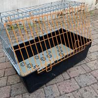 Gabbia per cani in auto