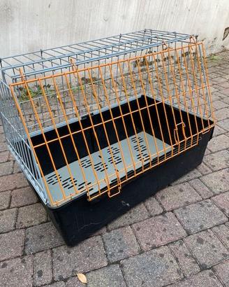 Gabbia per cani in auto