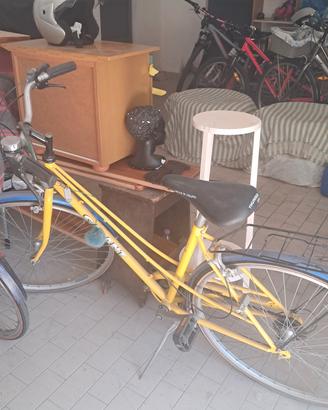 bicicletta Galant