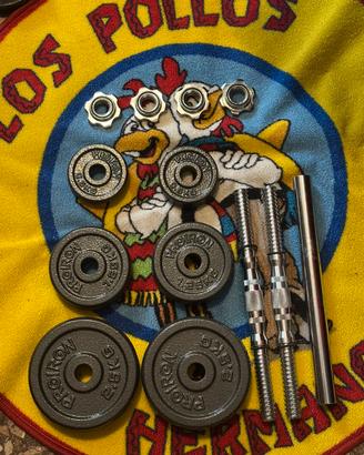 Set manubri componibili Proiron da 17kg tot