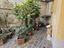 Immagine 24