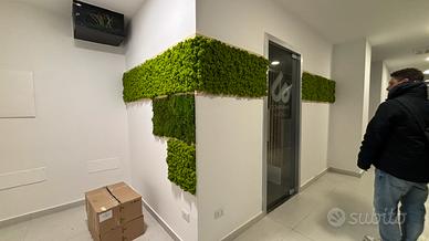 Pareti verdi stabilizzate e personalizzate!