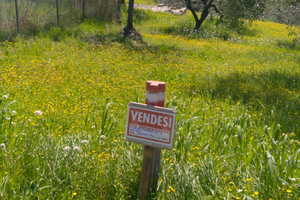 Terreno edificabile e agricolo