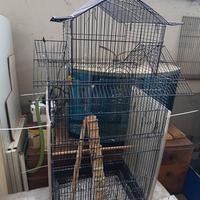 gabbia per pappagalli 