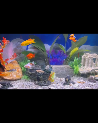 Acquario