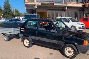 Fiat Panda 1 serie 4X4 eccezionale con : gpl - gan