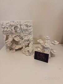 Rocce  acquario marino