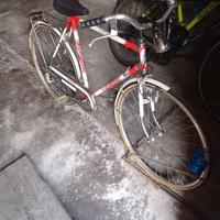 Bicicletta da uomo San Vido
