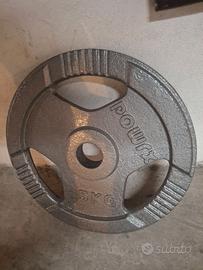 15kg x2  foro 50mm ghisa milano