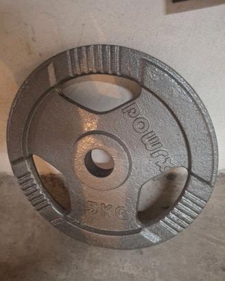 15kg x2  foro 50mm ghisa milano