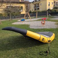 Wing RRD Evo Gold 5,5 2024 in Alula con boma e/o m
