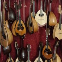 mandolini antichi e nuovi di liuteria