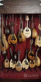 mandolini antichi e nuovi di liuteria