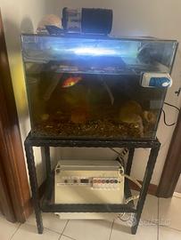 Acquario usato