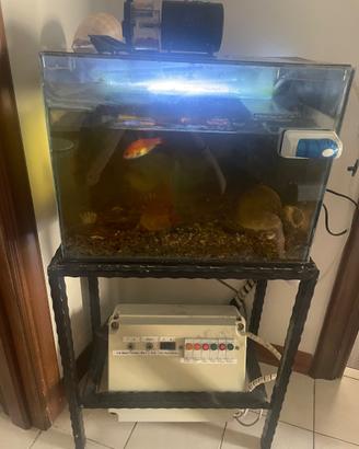 Acquario usato