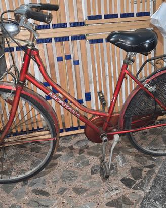 Bici Montana