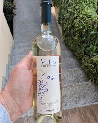 Bottiglia Grappa Vitis Morbida