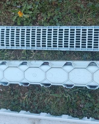 canalina Pegasus dakota