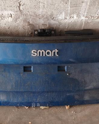 Cofano smart dal 2015 in poi