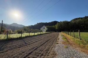 TERRENO A SAN COLOMBANO CERTENOLI