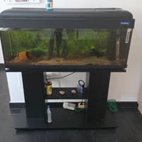 acquario