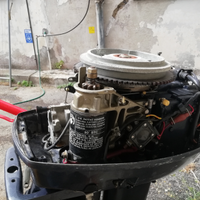 Evinrude 25xp