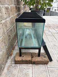 Acquario per pesci