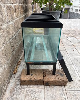 Acquario per pesci