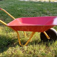 Cariola per bambini Rolly Toys