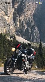 Triumph Speed Triple T509