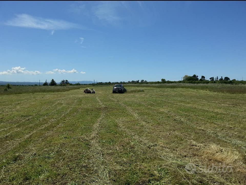 Terreno 11 ettari Strada Castiglione Viterbo - Vista 2