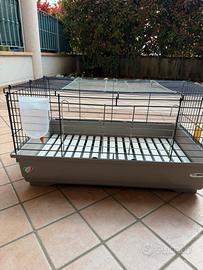 Gabbia conglio gratis