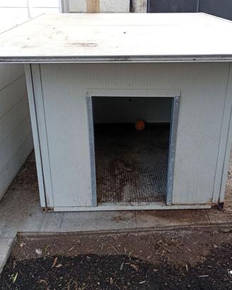 Cuccia per cane