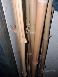 Bastoni di bambù da orto