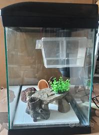 Acquario acqua dolce