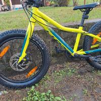 Bici Fat bike Scott Roxter 20
