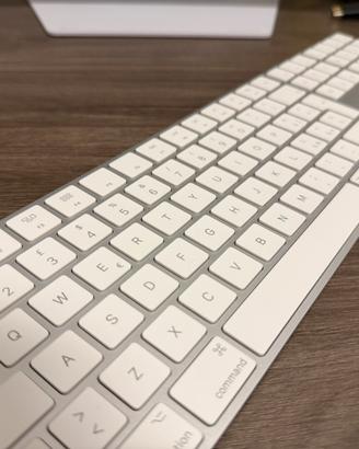 Tastiera apple magic keyboard con custodia