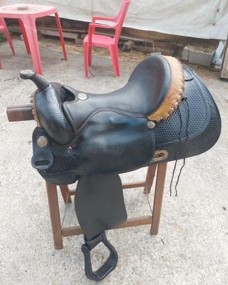 Quarter horse 