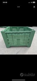 cassoni/bins in plastica