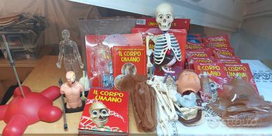 Collezione Edicola " il Corpo Umano "