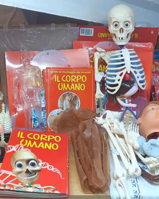 Collezione Edicola " il Corpo Umano "