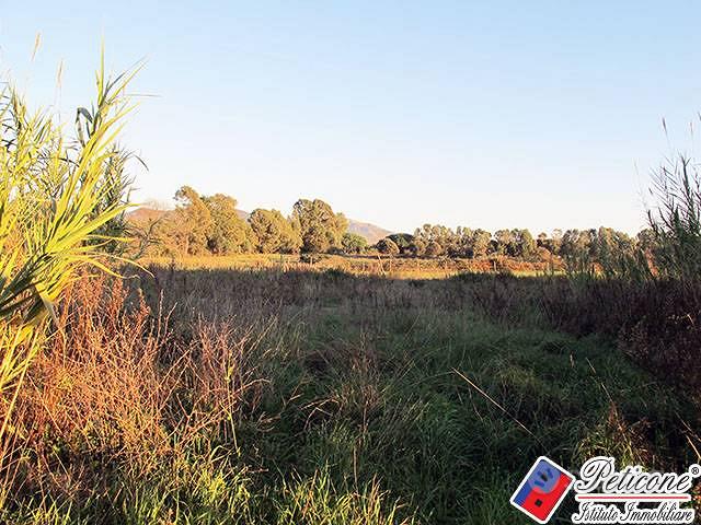 Terreno agricolo - Fondi - Vista 2