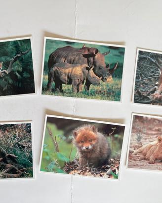 6 cartoline WWF animali