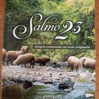 Salmo 23, esegesi sul testo originario