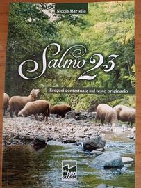 Salmo 23, esegesi sul testo originario