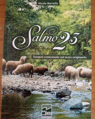 Salmo 23, esegesi sul testo originario