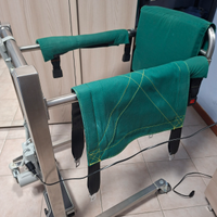 Sollevatore elettrico Olivio Motion inox