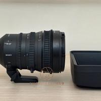Sony E PZ 18-110mm f/4 G OSS